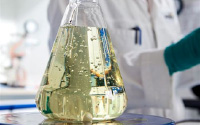 Base Oil